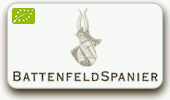 Battenfeld-Spanier
